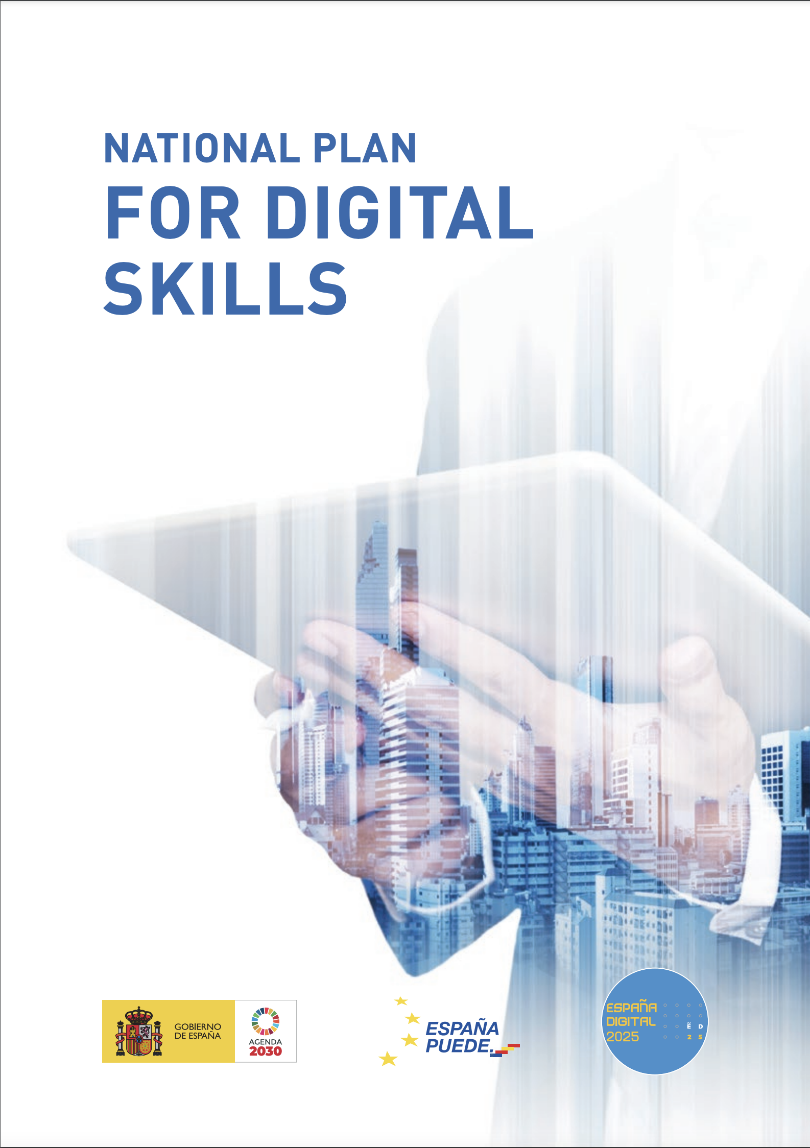 National Plan for Digital Skills